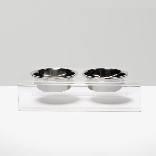 Clear Slanted Silver Bowl Feeder | Options