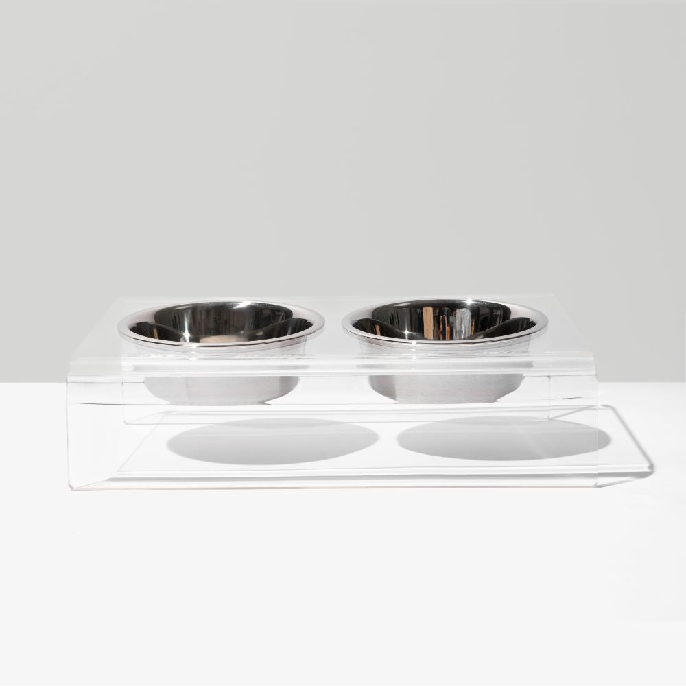 Clear Slanted Silver Bowl Feeder | Options