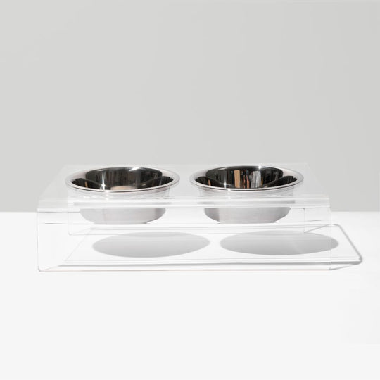 Clear Slanted Silver Bowl Feeder | Options