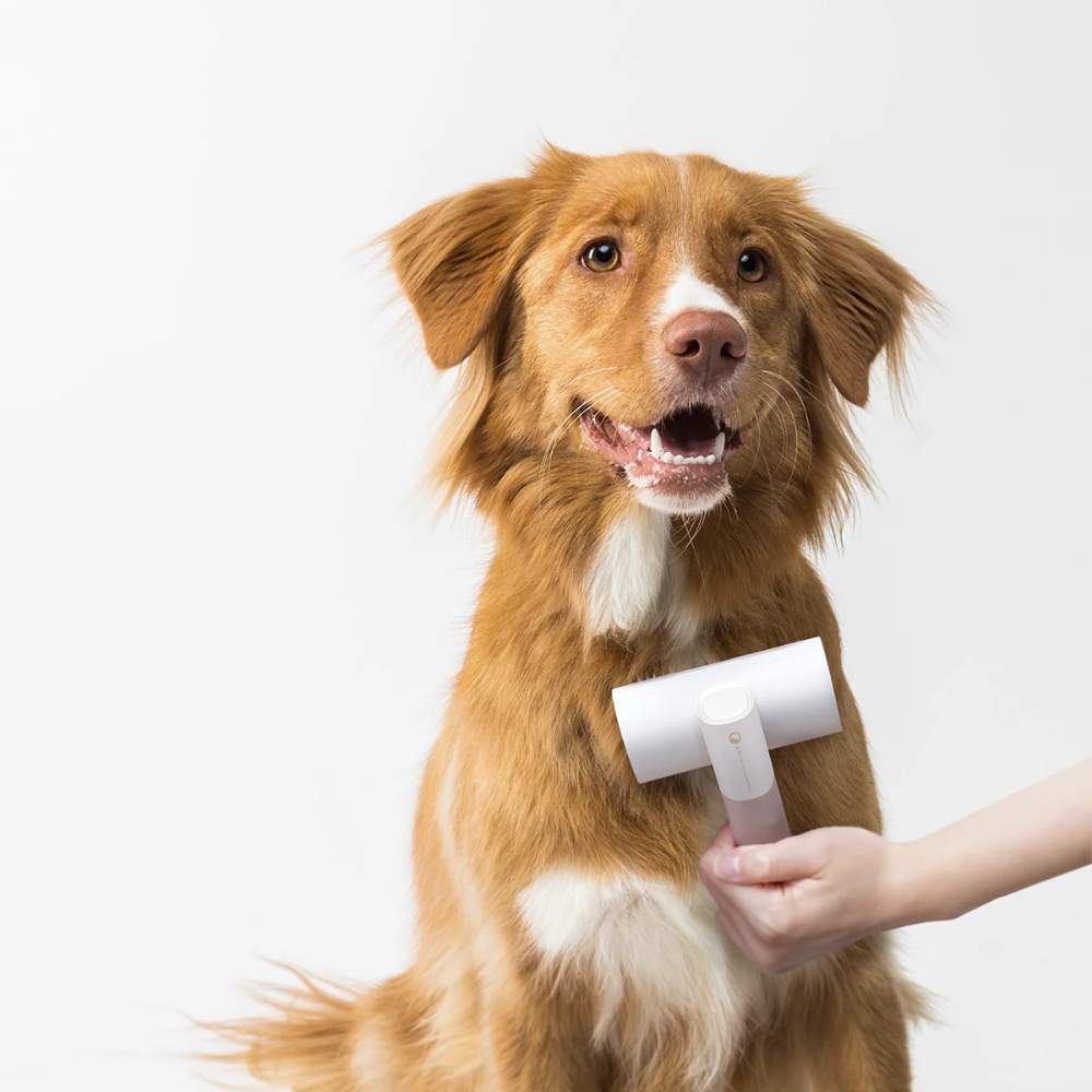 Pet Grooming 2-in-1 Brush