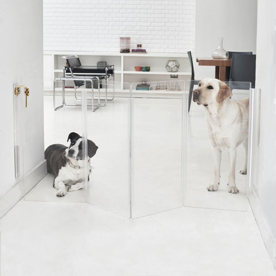 Wall Mounted Clear Pet Gate Zig Zag | Options