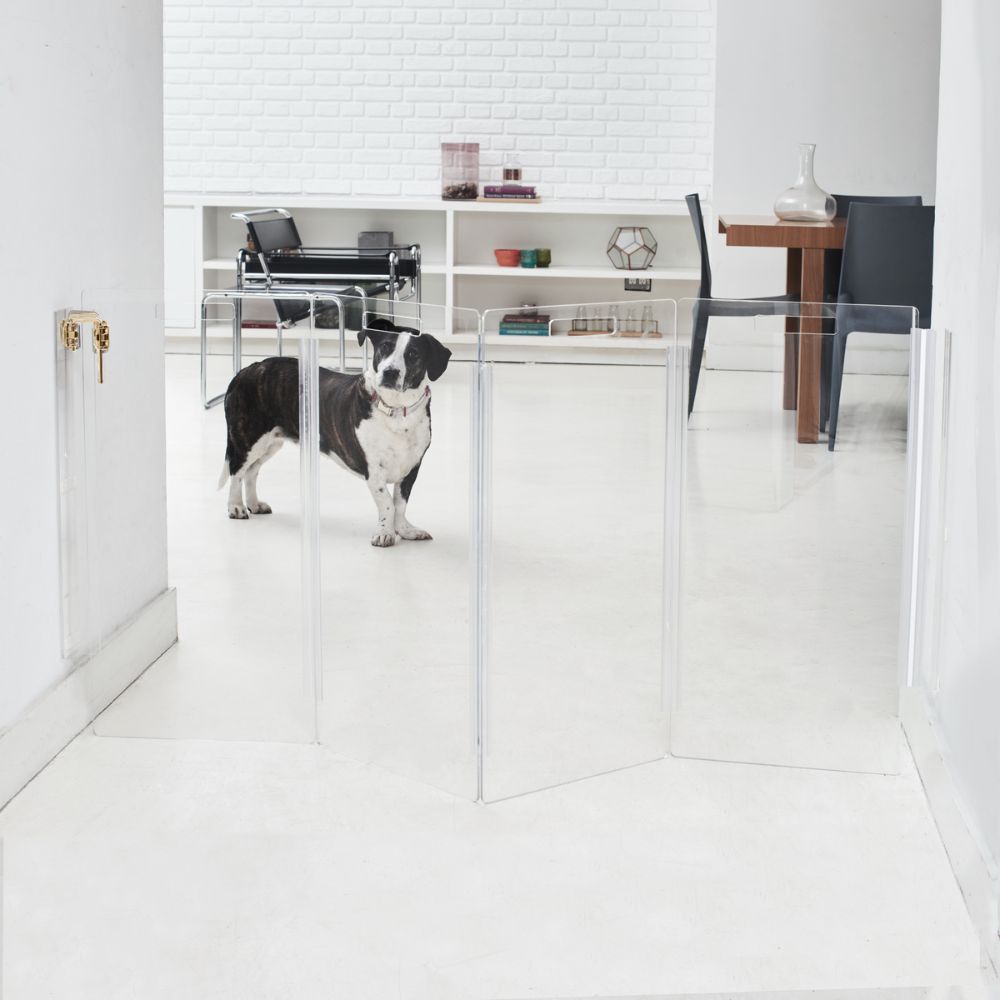 Wall Mounted Clear Pet Gate Zig Zag | Options