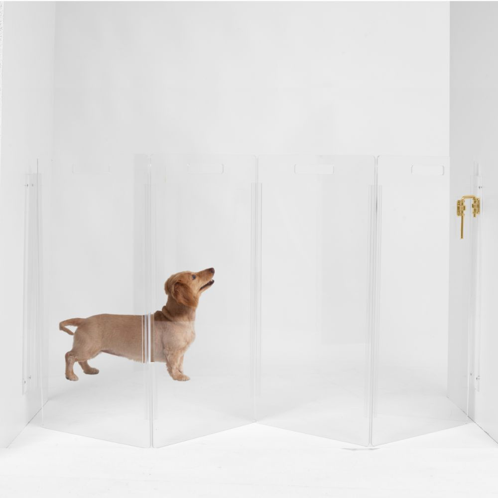 Wall Mounted Clear Pet Gate Zig Zag | Options