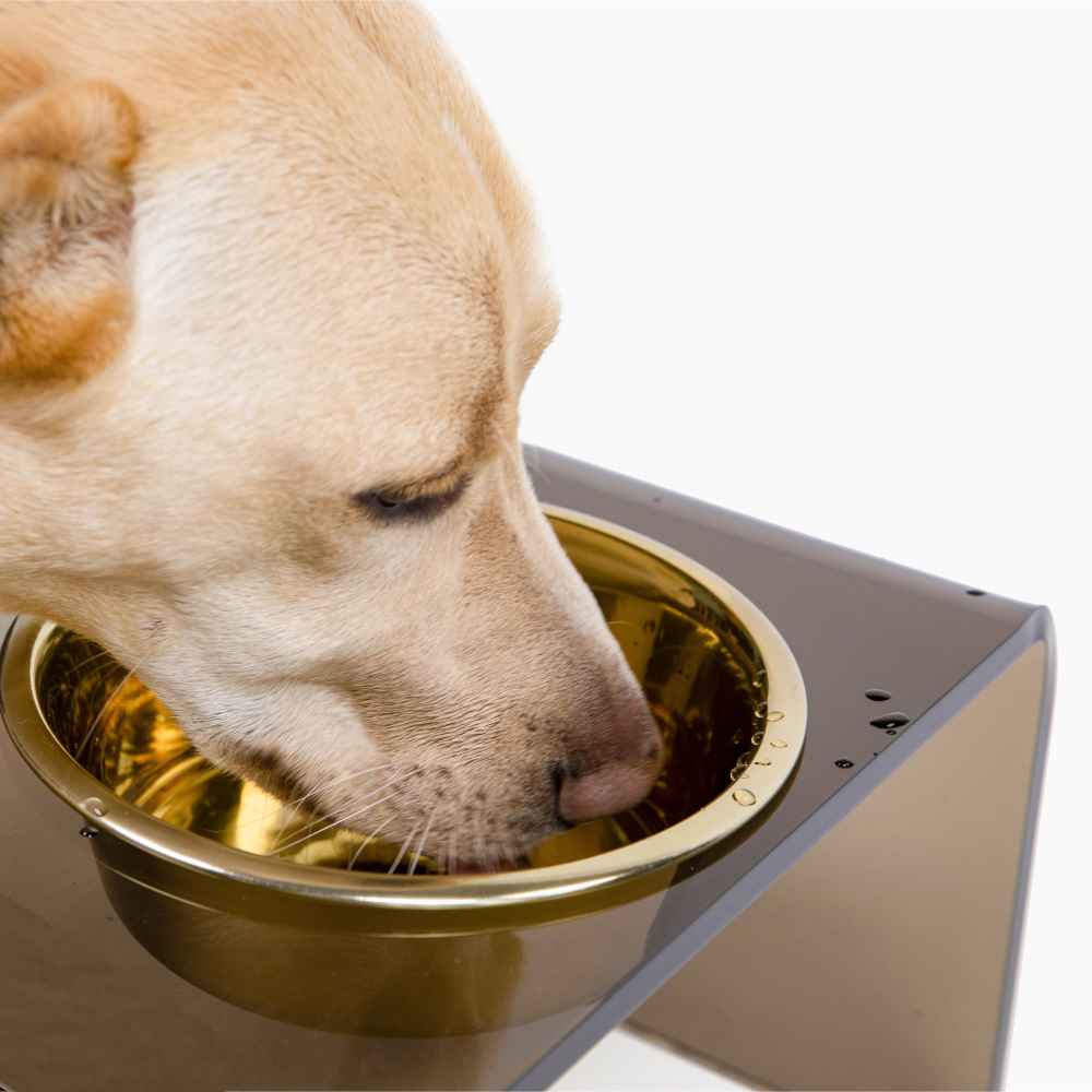 Bronze Single Bowl Pet Feeder | Options