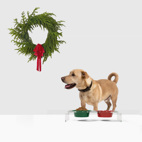 Holiday Double Pet Feeder | Limited Edition