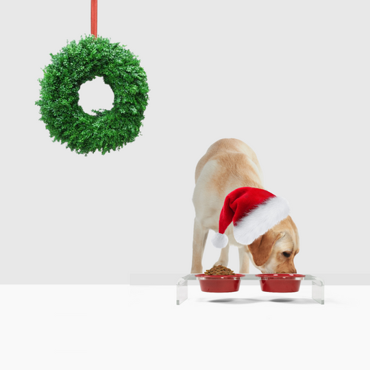 Holiday Double Pet Feeder | Limited Edition