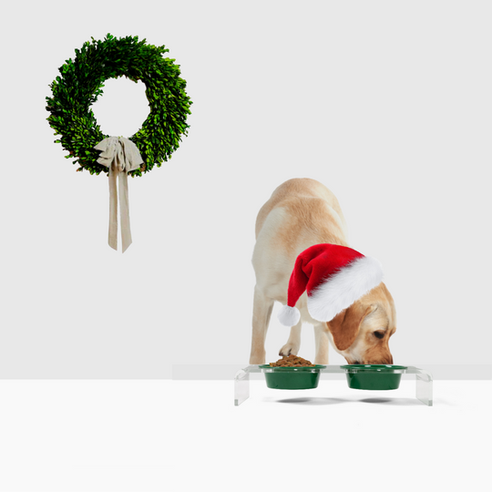 Holiday Double Pet Feeder | Limited Edition