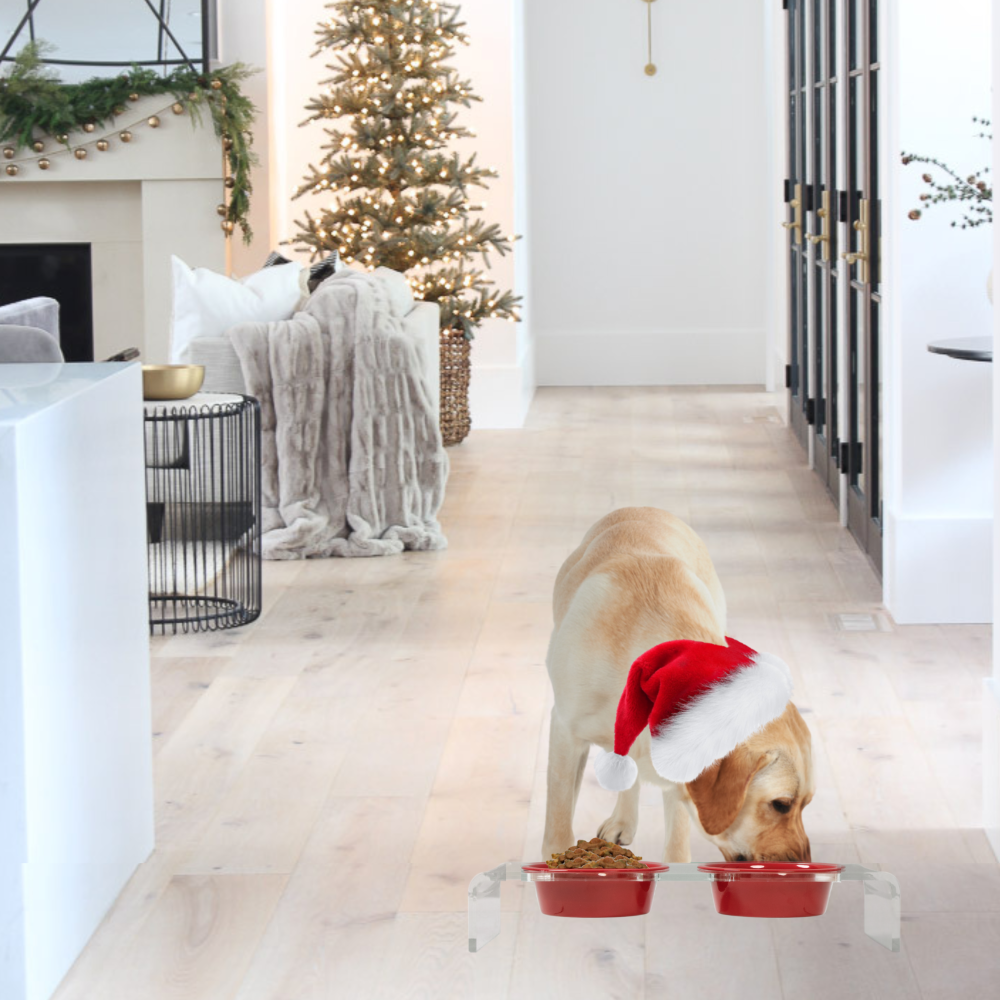 Holiday Double Pet Feeder | Limited Edition