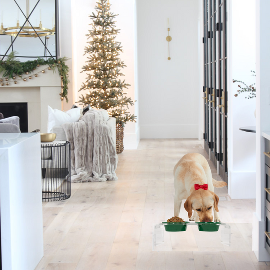 Holiday Double Pet Feeder | Limited Edition