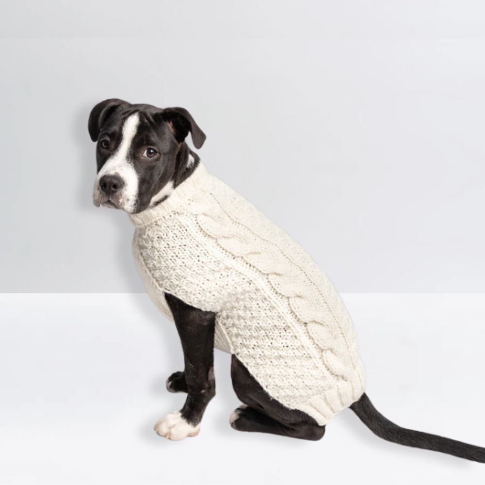 Alpaca Solid Cable Dog Sweater | Options