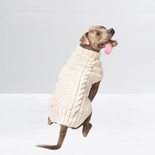 Alpaca Solid Cable Dog Sweater | Options