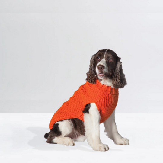 Alpaca Solid Cable Dog Sweater | Options