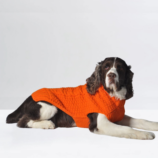 Alpaca Solid Cable Dog Sweater | Options