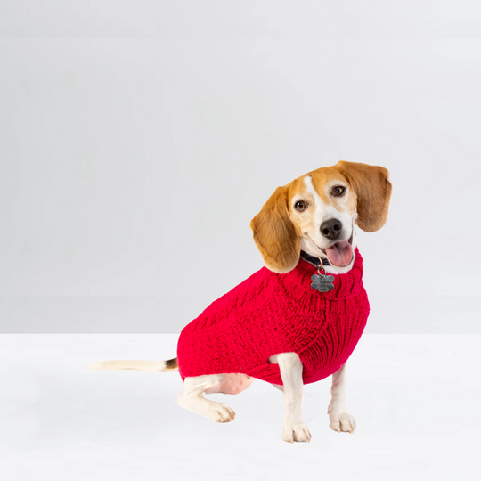 Alpaca Solid Cable Dog Sweater | Options