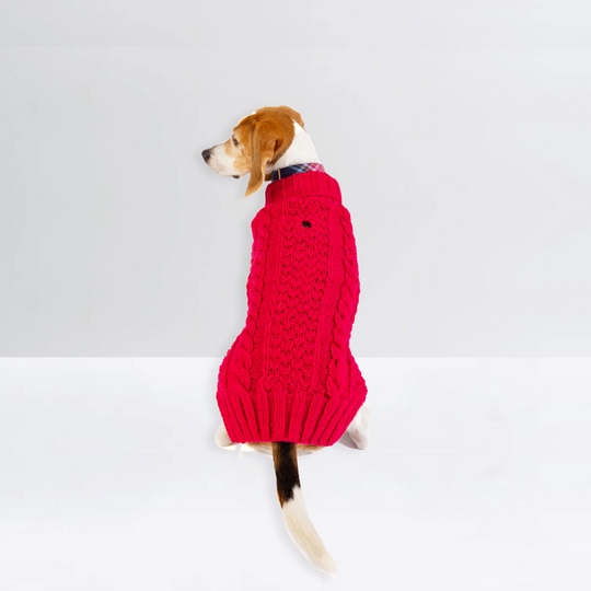 Alpaca Solid Cable Dog Sweater | Options