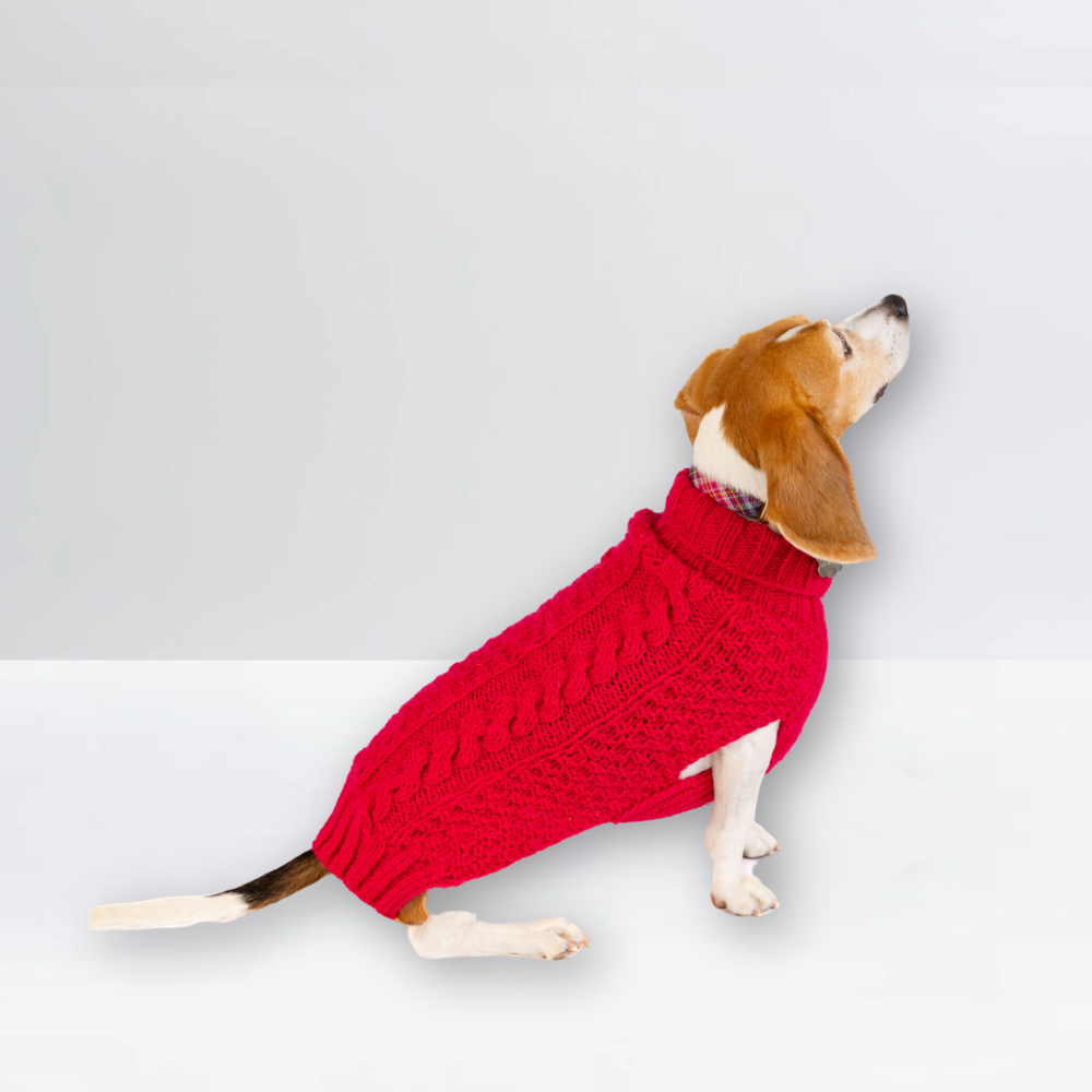 Alpaca Solid Cable Dog Sweater | Options