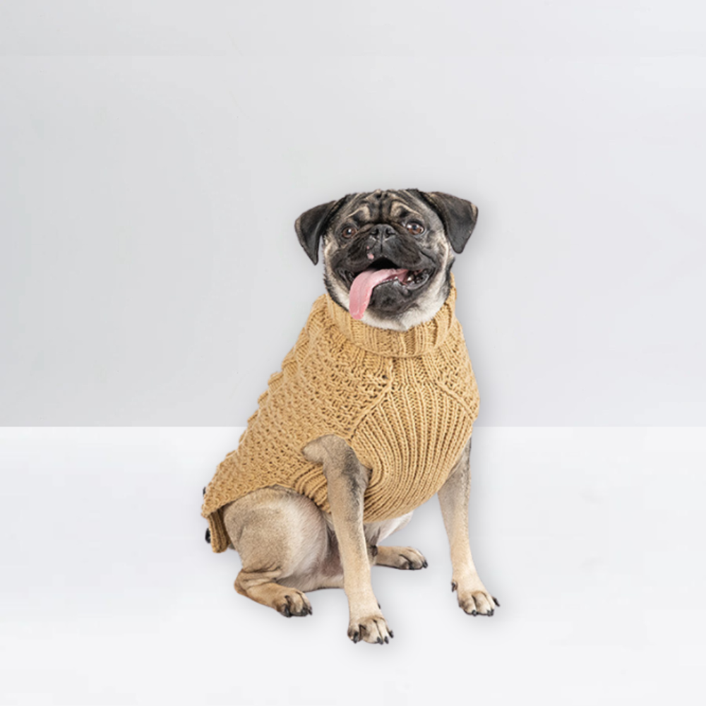 Alpaca Solid Cable Dog Sweater | Options