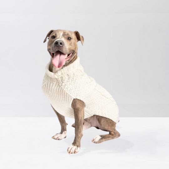 Alpaca Solid Cable Dog Sweater | Options