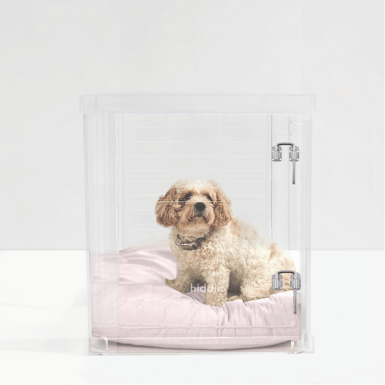 Medium Crate (Silver Latch)