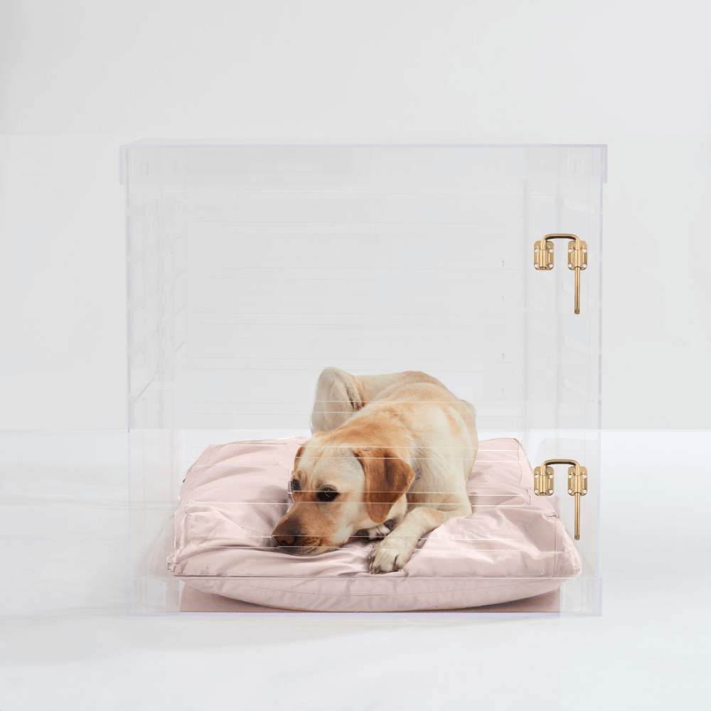 Large Crate (Gold Latch)