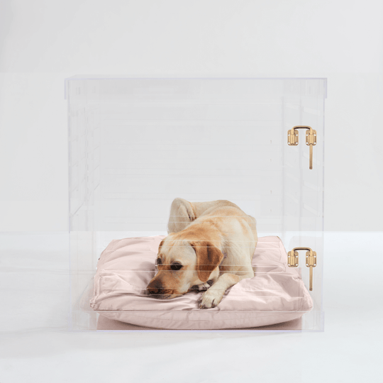 Large Crate (Gold Latch)