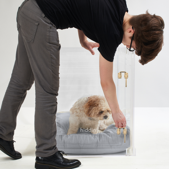 Medium Crate (Gold Latch)