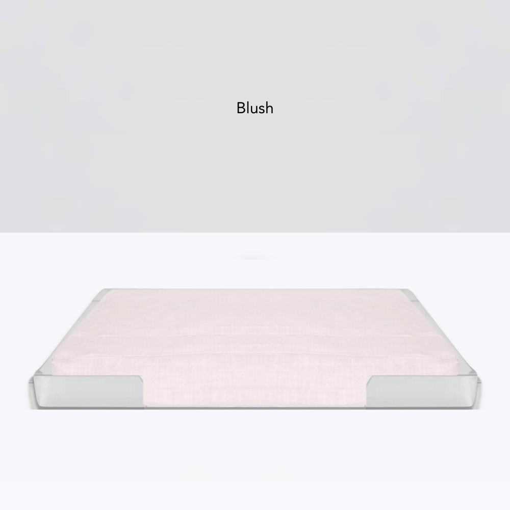 Clear Pet Tray Bed | Options