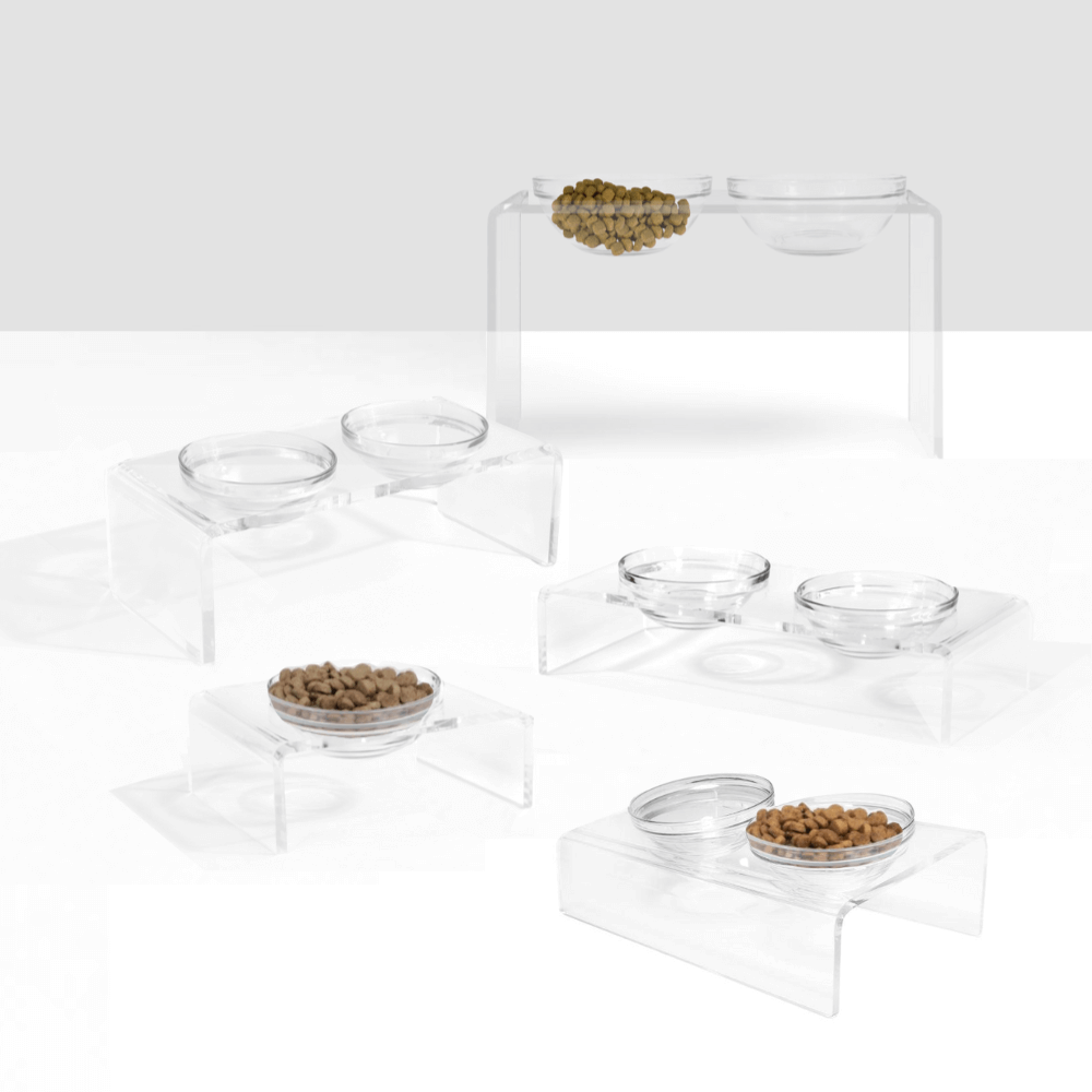 Small Glass Bowl Feeder