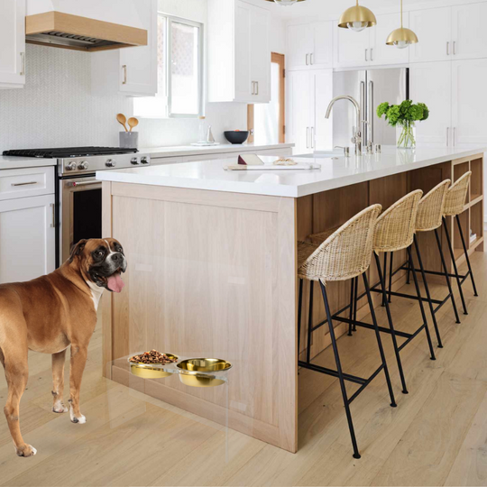 Lucite Wall Protector