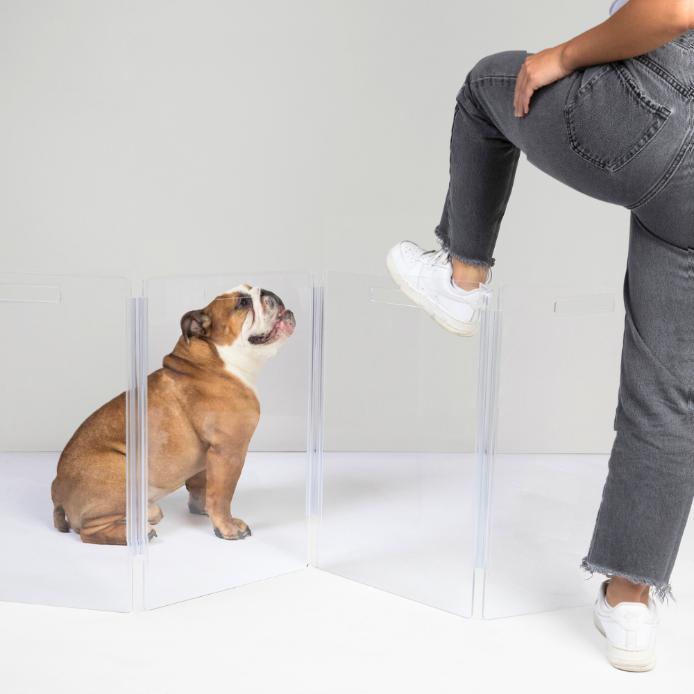 Free Standing Dog Fence Indoor Amazon Doggie Divider Dave! Stairs