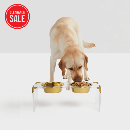 Campaign Corners Gold Feeder