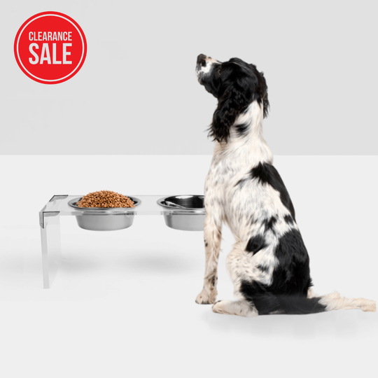 Campaign Corners Silver Feeder