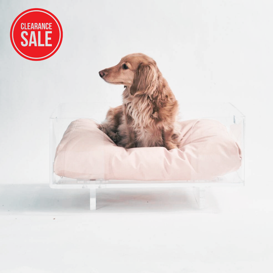 Clear Rectangular Lucite Dog Bed