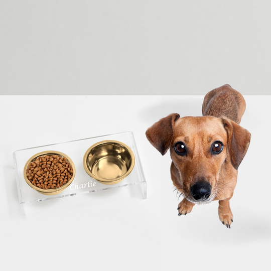 Monogram Gold Feeder