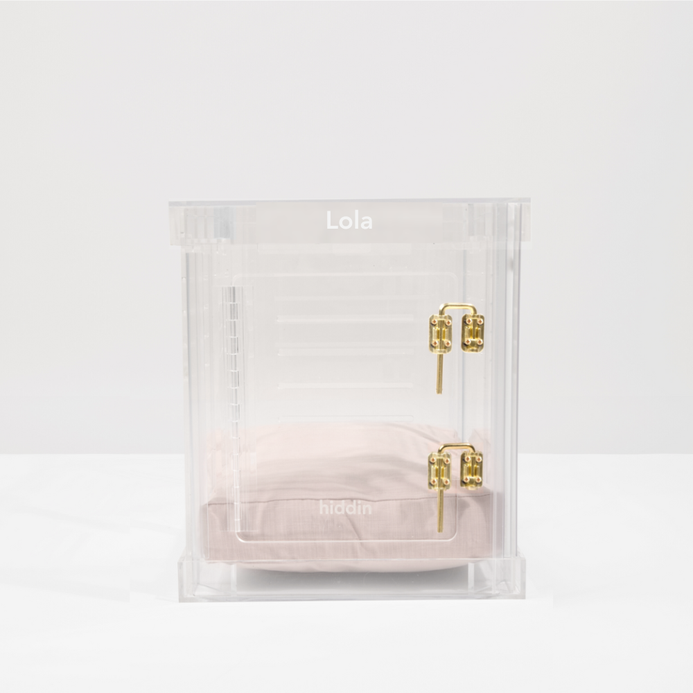 Monogram Small Crate (Gold Latch)