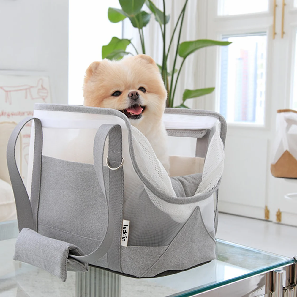 Mesh Travel Pet Carrier | Options