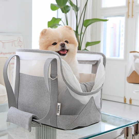 Mesh Travel Pet Carrier | Options