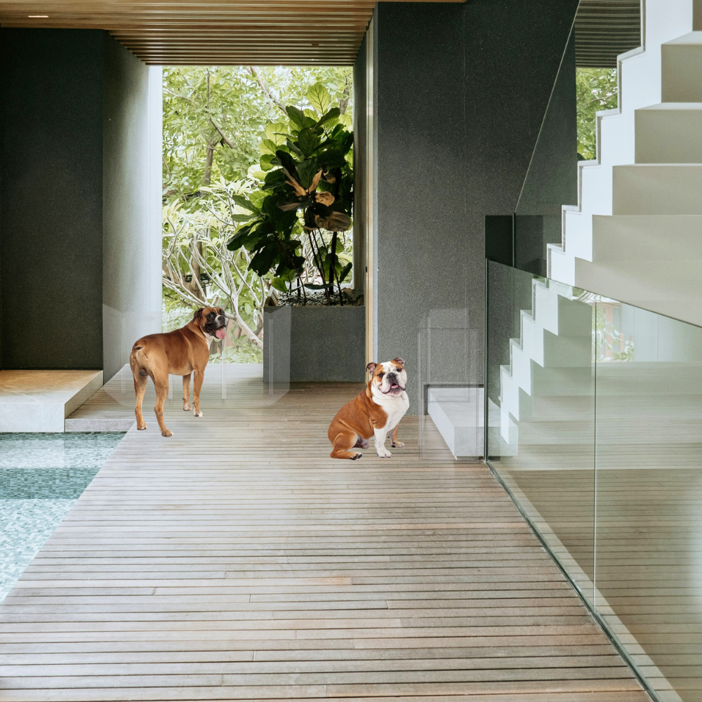 Clean Front Pet Gate