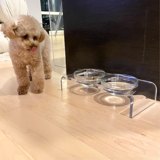 Clear Double Pet Bowl Feeder with Glass Bowls | Options