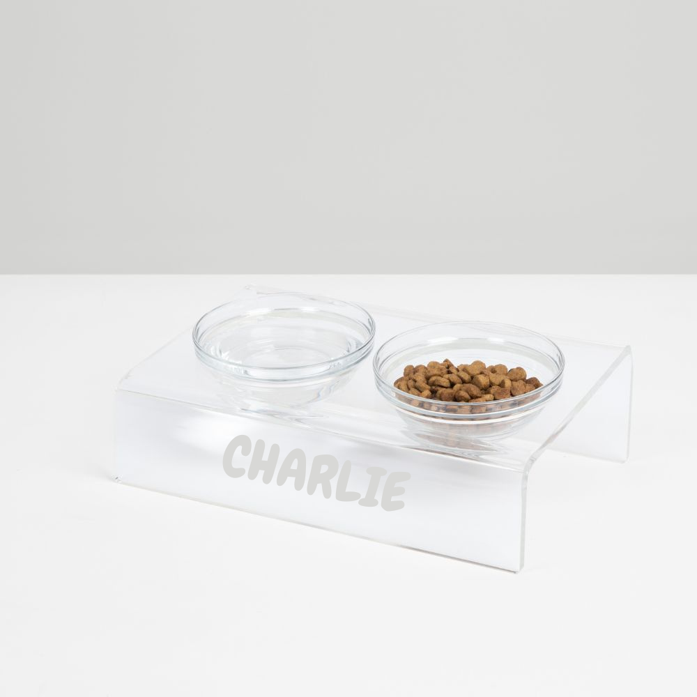 Personalized Slanted Glass Bowl Feeder | Options