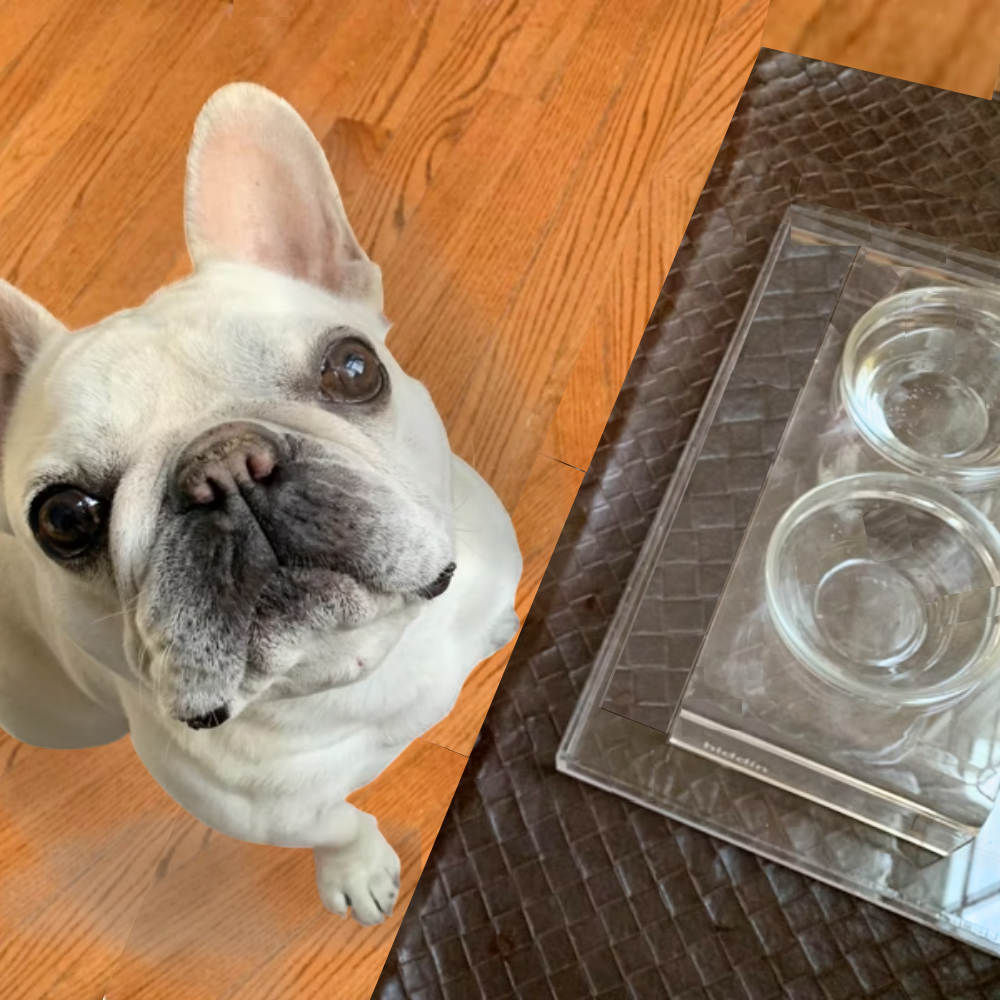 Clear Overflow Feeder Tray