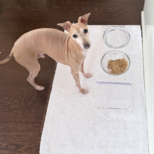 Tall Glass Bowl Feeder