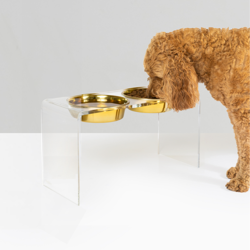 Tall Gold Feeder