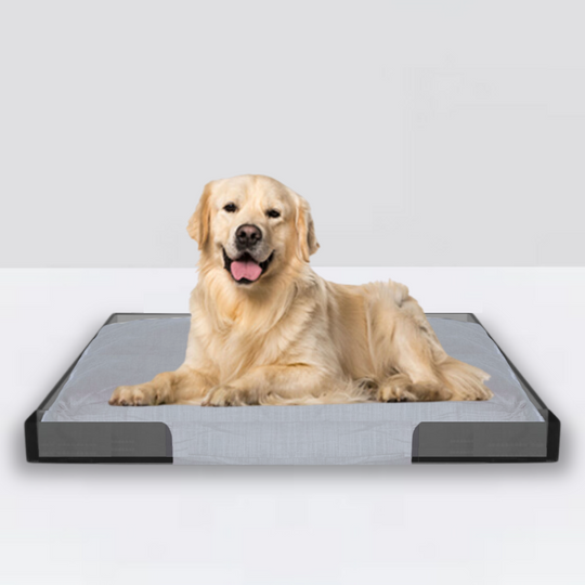 Smoke Grey Lucite Pet Tray Bed | Options