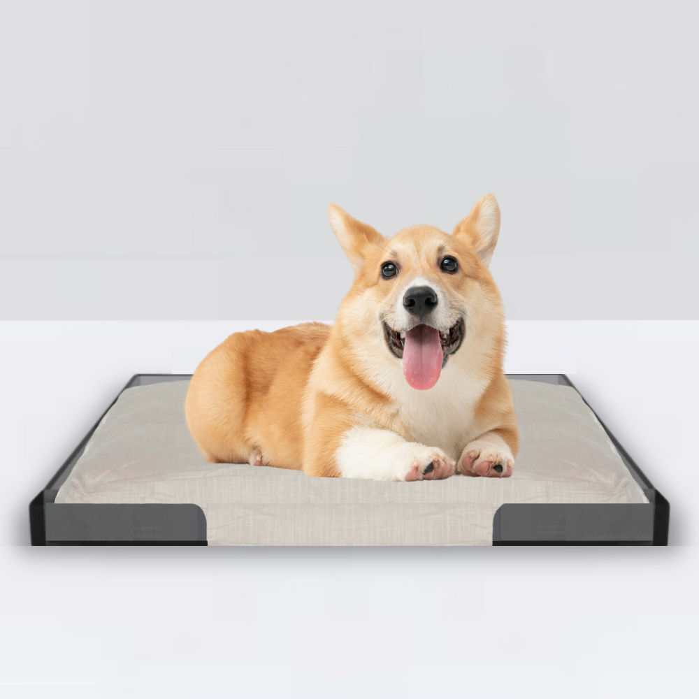 Smoke Grey Lucite Pet Tray Bed | Options