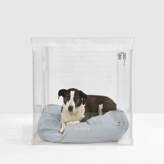 Monogram Medium Crate (Silver Latch)