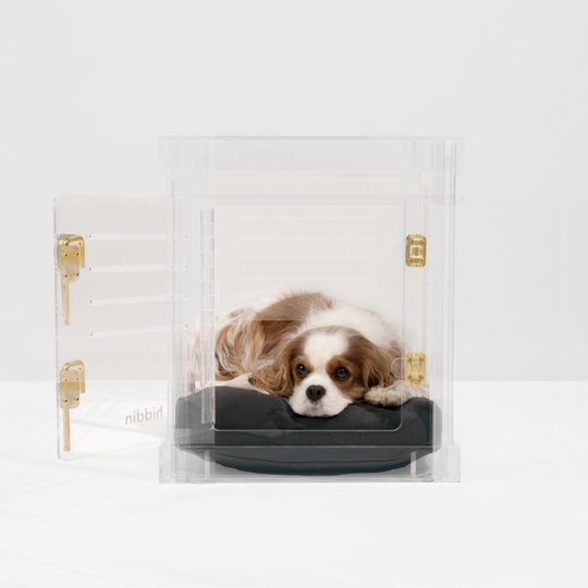 Small Crate (Gold Latch)