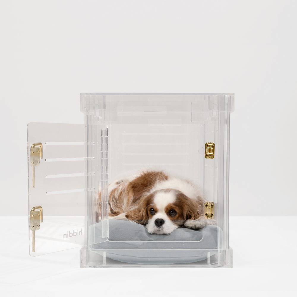 clear small dog crate