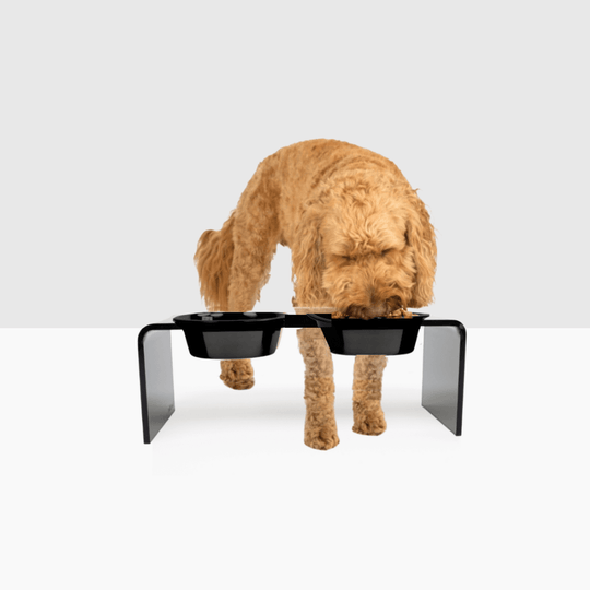 Medium Smoke Grey Feeder