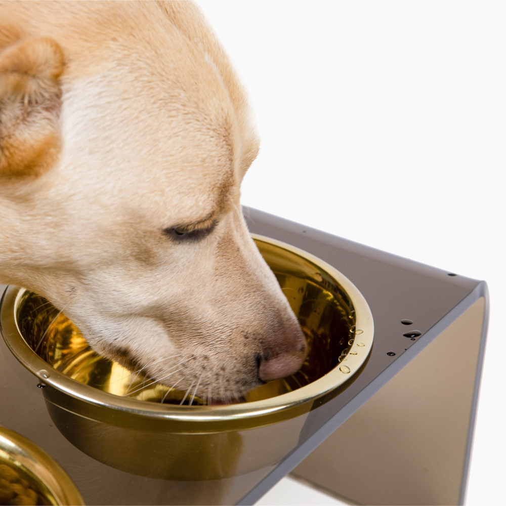 hiddin bronze brown lucite dog bowl feeder